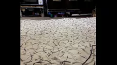 Jouer Filthy Solo Boy regarde et se masturbe lentement devant une vidéo
